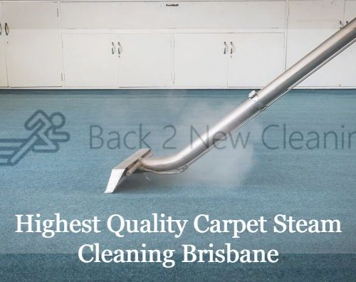 Carpet Steam Cleaning 1
