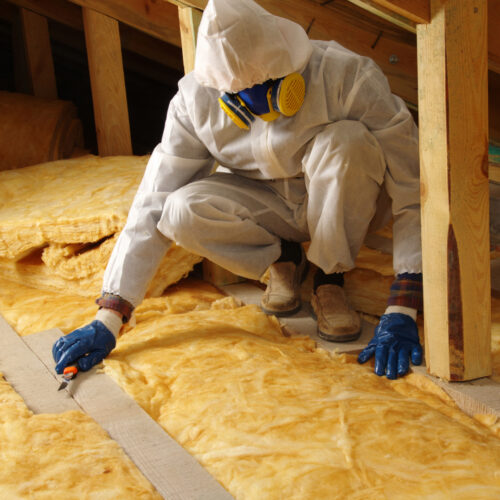 pexels laurie shaw 1838833 2