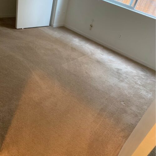 179221943 263082582217231 3319833858018193021 n