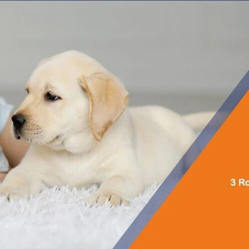 99degreesteamcleaning