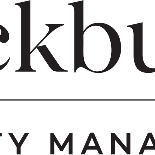 BB Project Management Mono RGB