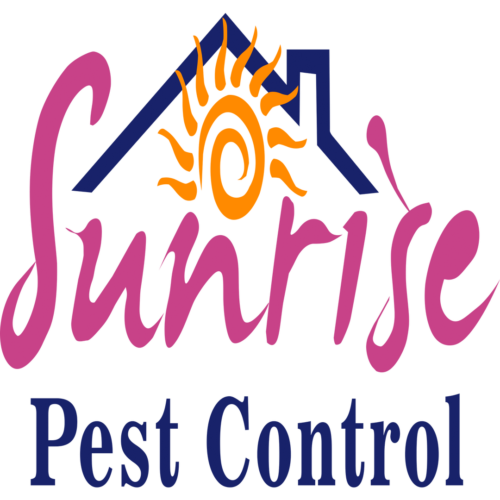 rsz 1sunrise logo