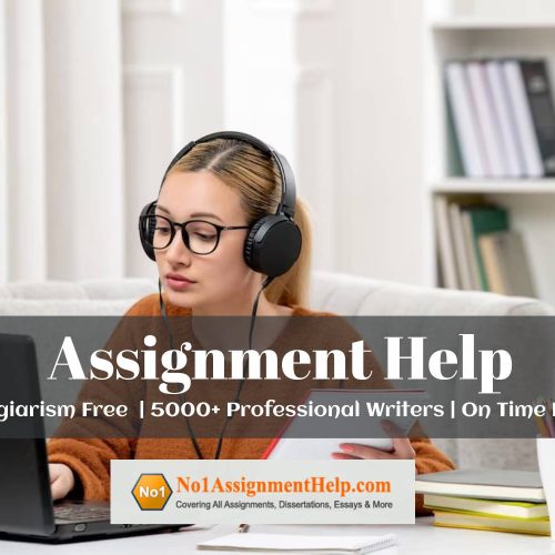 New Assignment Help