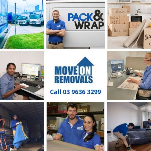 421056168 769493851865335 7286482662762437294 n