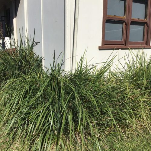 IMG 4914 scaled e1594724244585