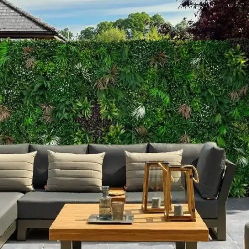 designer plants thumb australia