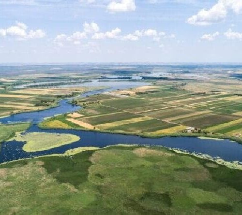 Irrigation Chanels streams and ponds algea blloms