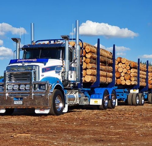 92581878 911384299314009 8542071631072198656 n