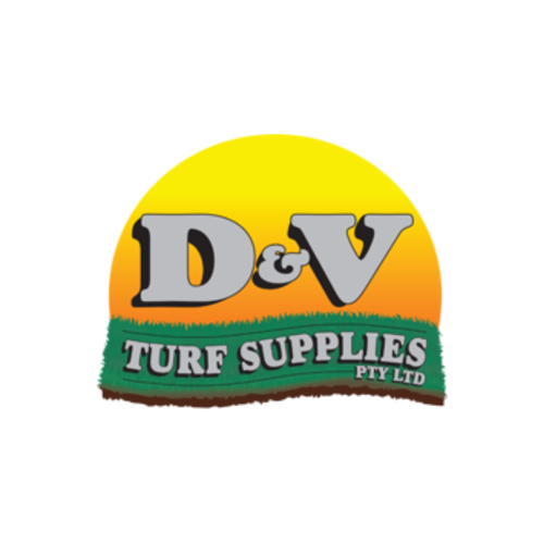 D V square logo