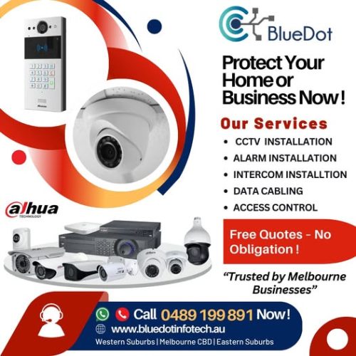 bluedot cctv