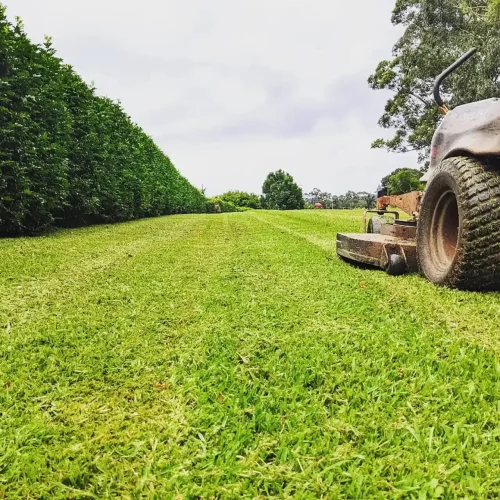 acreage mowing brisbane