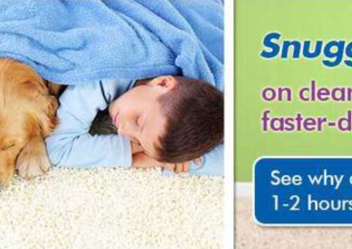 Chem Dry Clean and Green banner