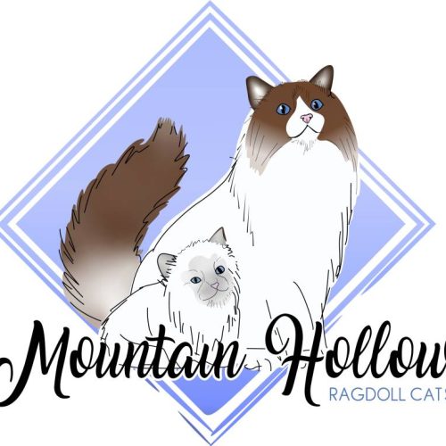 mountain hollows
