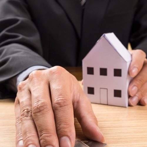 imgi 10 Picture1 980x1469 1